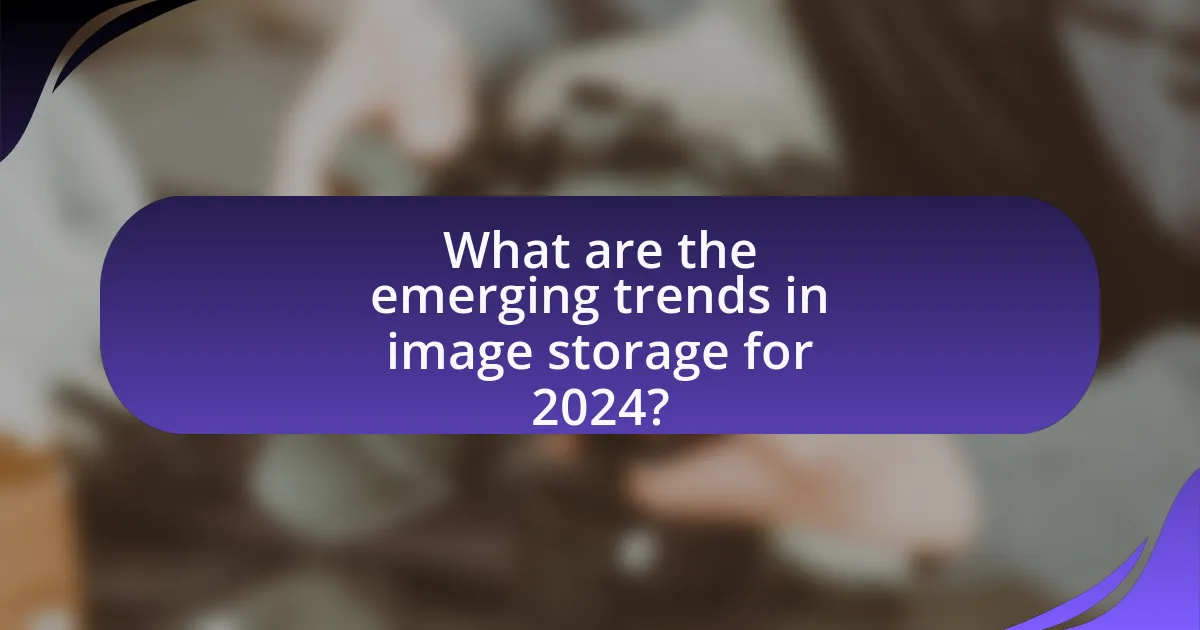 What are the emerging trends in image storage for 2024?